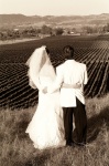 Looking at the horizon.jpg
